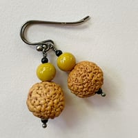 Image 2 of Quandong Earrings with Mustard Rounds