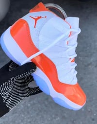 Image 1 of AJ 13 variety