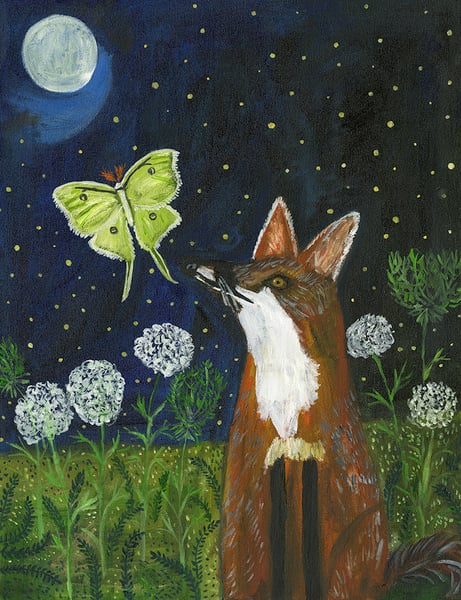 Image of Blue Moon, Red Fox - limited edition print