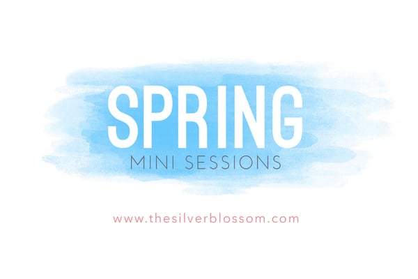 Image of Spring Mini Sessions