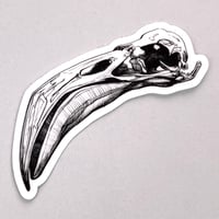 Image 4 of Flamingo Skull Sticker