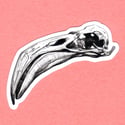 Flamingo Skull Sticker