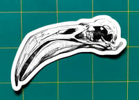 Image 5 of Flamingo Skull Sticker