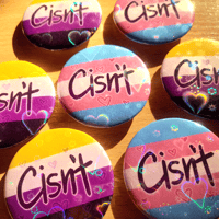 Image 1 of LGBTQ+ "Cisn't" Meme 1.75 Inch Holographic Pin Buttons