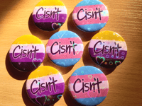 Image 2 of LGBTQ+ "Cisn't" Meme 1.75 Inch Holographic Pin Buttons