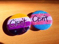 Image 3 of LGBTQ+ "Cisn't" Meme 1.75 Inch Holographic Pin Buttons