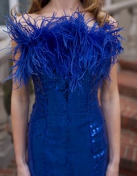 Image 3 of 1980s Ostrich Feather Dress