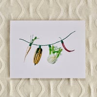Image 2 of Autumn Veggies String Lights