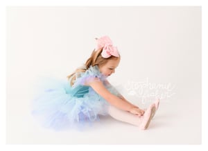 Image of 2026 Dance Minis