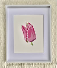 Tulip Print