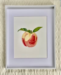 Peachy Print