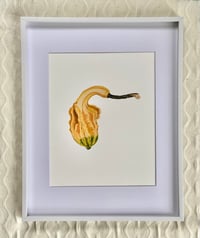 Gourd Print