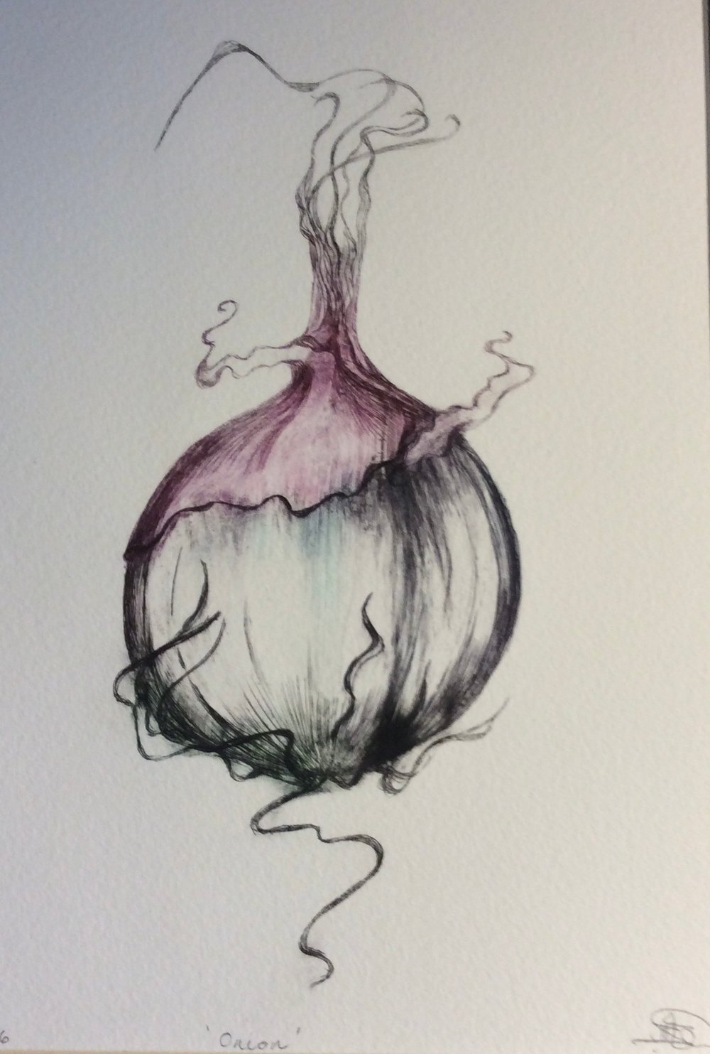 Image of Onion