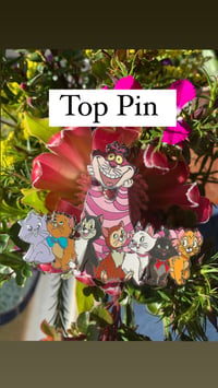 Image 1 of Kitty Kat top fantasy pin 