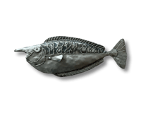 Kala - Unicorn Fish