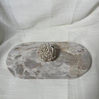 Image 2 of Desert Rose