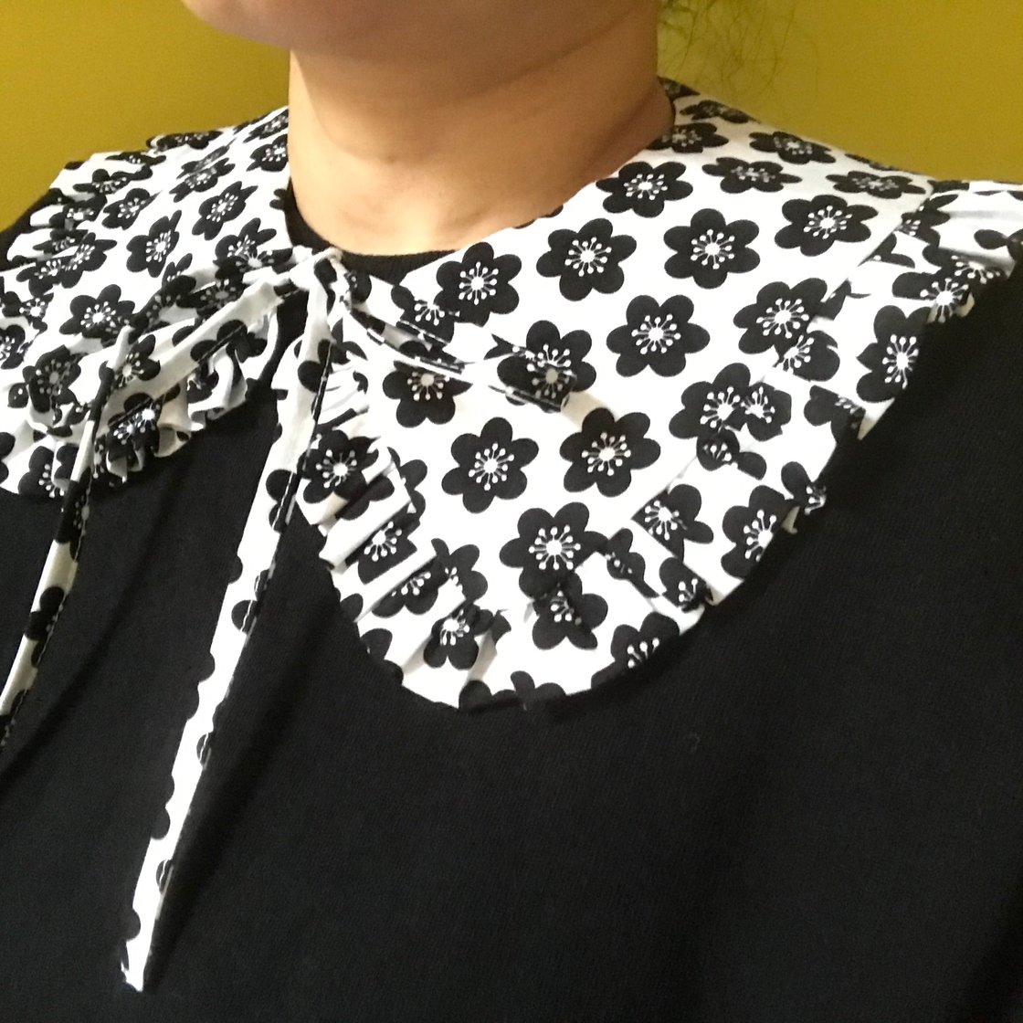 Image of ARC - bwf /sample