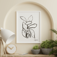 Botanical Charcoal Study - Fine Art Print