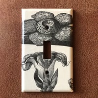 Collaged Switch Plate Single Gang BOTANICAL ILLUSTRATION in Black and White