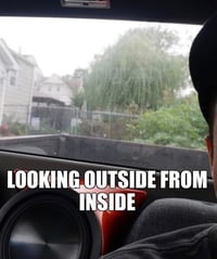 Image 4 of Perf Logos