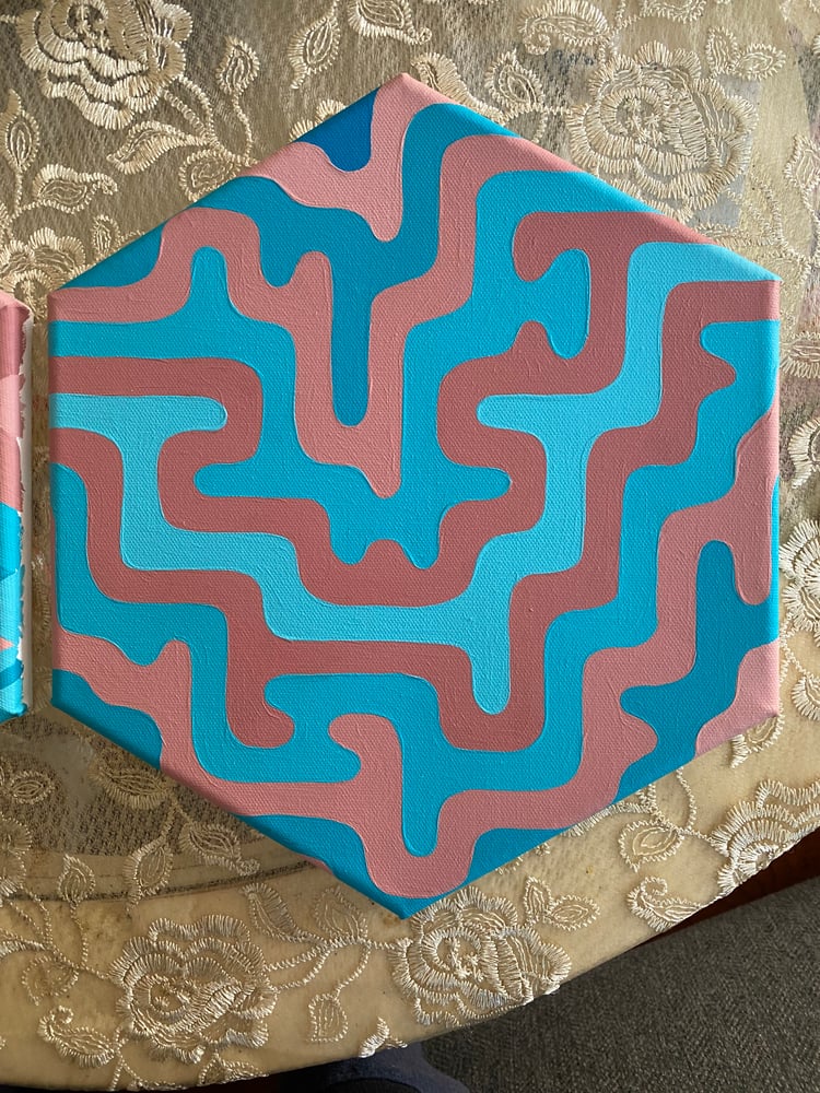Image of Blue/Pink Hexagonal Canvas Set