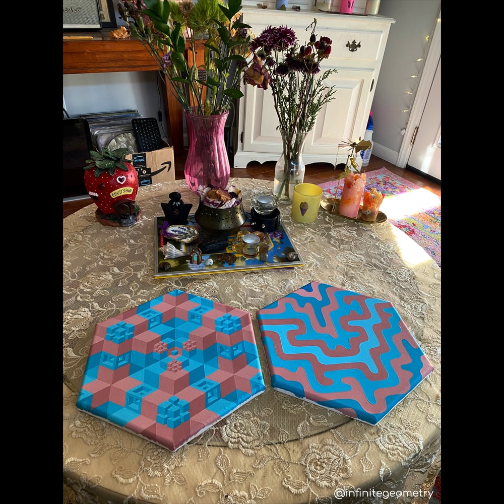 Image of Blue/Pink Hexagonal Canvas Set