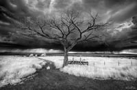 Image 1 of Pilar Hill Series 2021