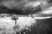 Image 3 of Pilar Hill Series 2021