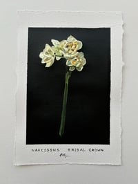 Image 2 of Narcissus Bridal Crown