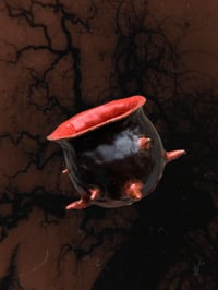 Image 1 of [not a chestnut] mug