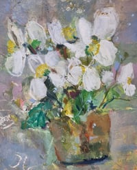 White Hellebore 
