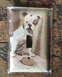 Collaged Switch Plate Cover Single Gang Bulldog Dog 