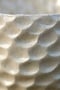 Image of Shell Cups