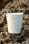 Image of Cup Palmeras 2.0