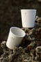 Image of Cup Palmeras 2.0