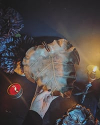 Image 2 of Copper leaf dishes 