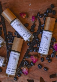 Image 3 of Coffee Tallow Lip Gloss
