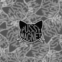 Pussy Magnet Sticker