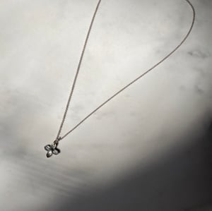 Image of botanica necklace
