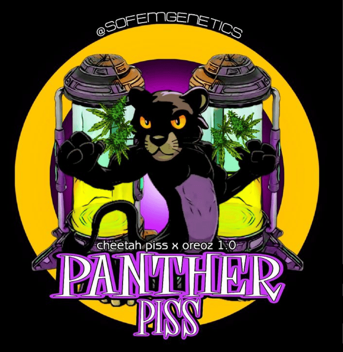 Image of SoFem Genetic's ~ Panther Piss
