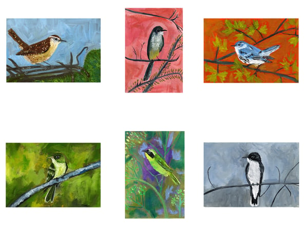 Image of Bird Lover's Delight -note cards