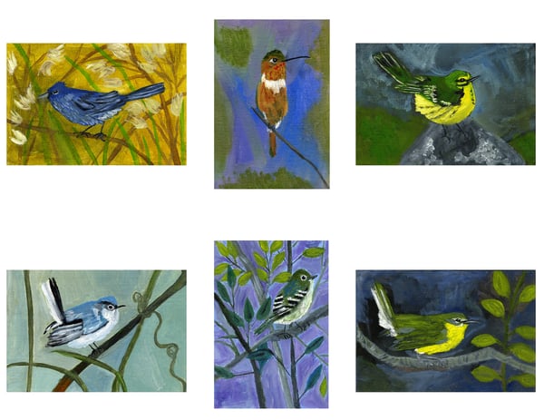 Image of Birds of Summer - note cards