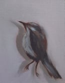 Image 1 of Petit oiseau mort