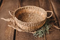 Basket seagrass