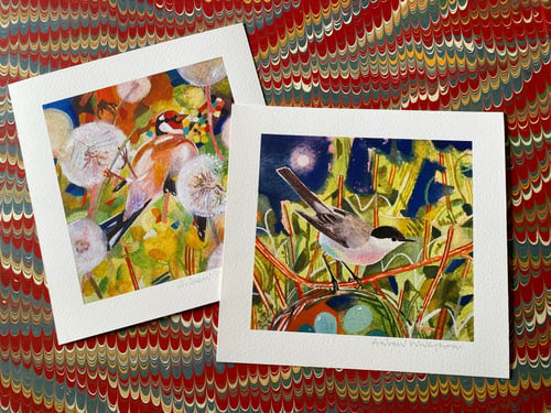 Image of Summer Goldfinch Print