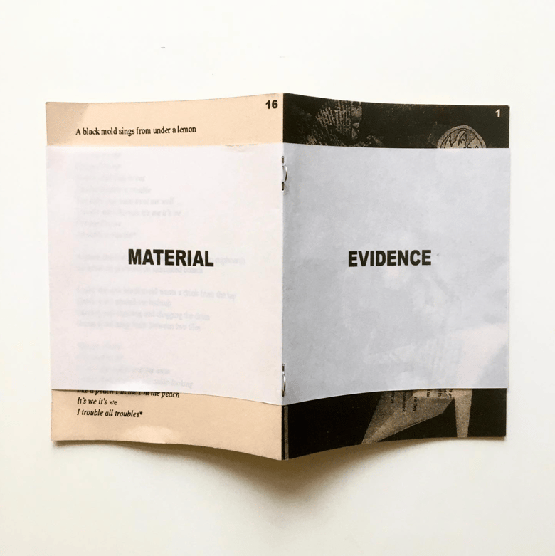 Image of MATERIAL EVIDENCE
