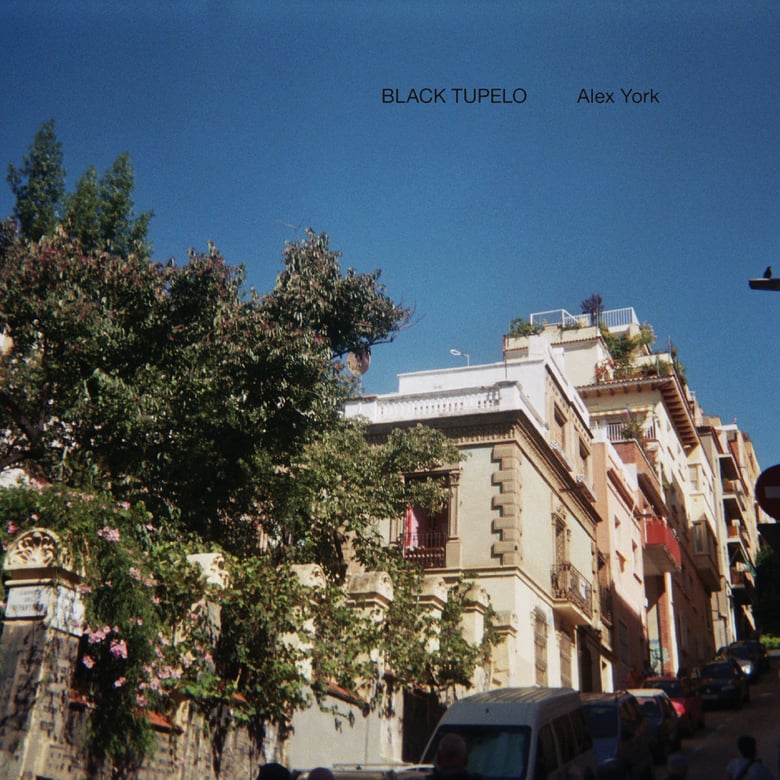 Image of Alex York - Black Tupelo CD