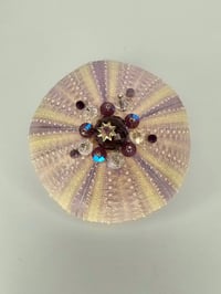 Image 2 of Oursin lavande cristal irisé