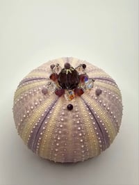 Image 3 of Oursin lavande cristal irisé