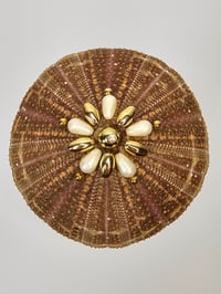Image 2 of Oursin brun nacré